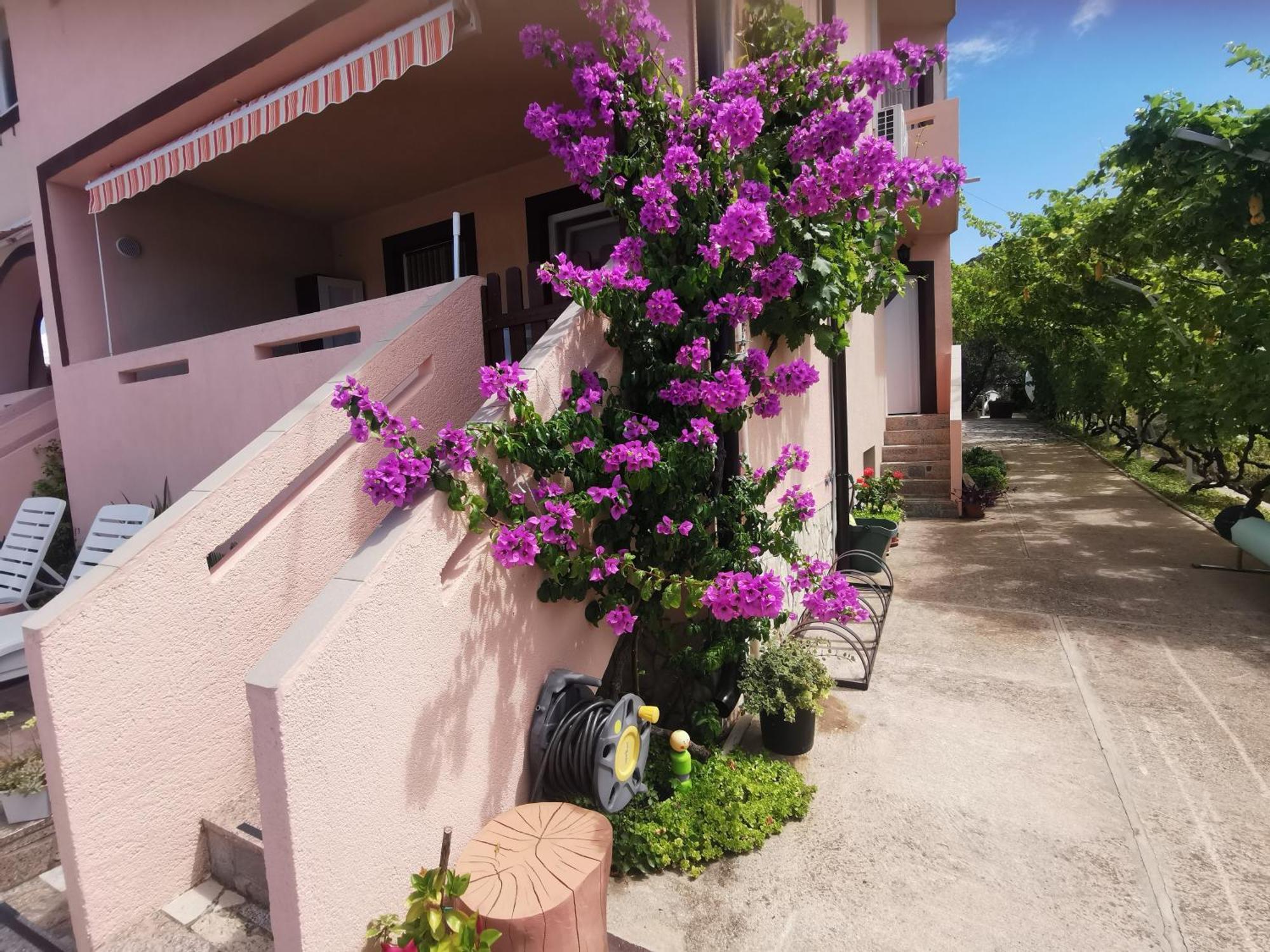 Apartman Franolic Пунат Екстериор снимка